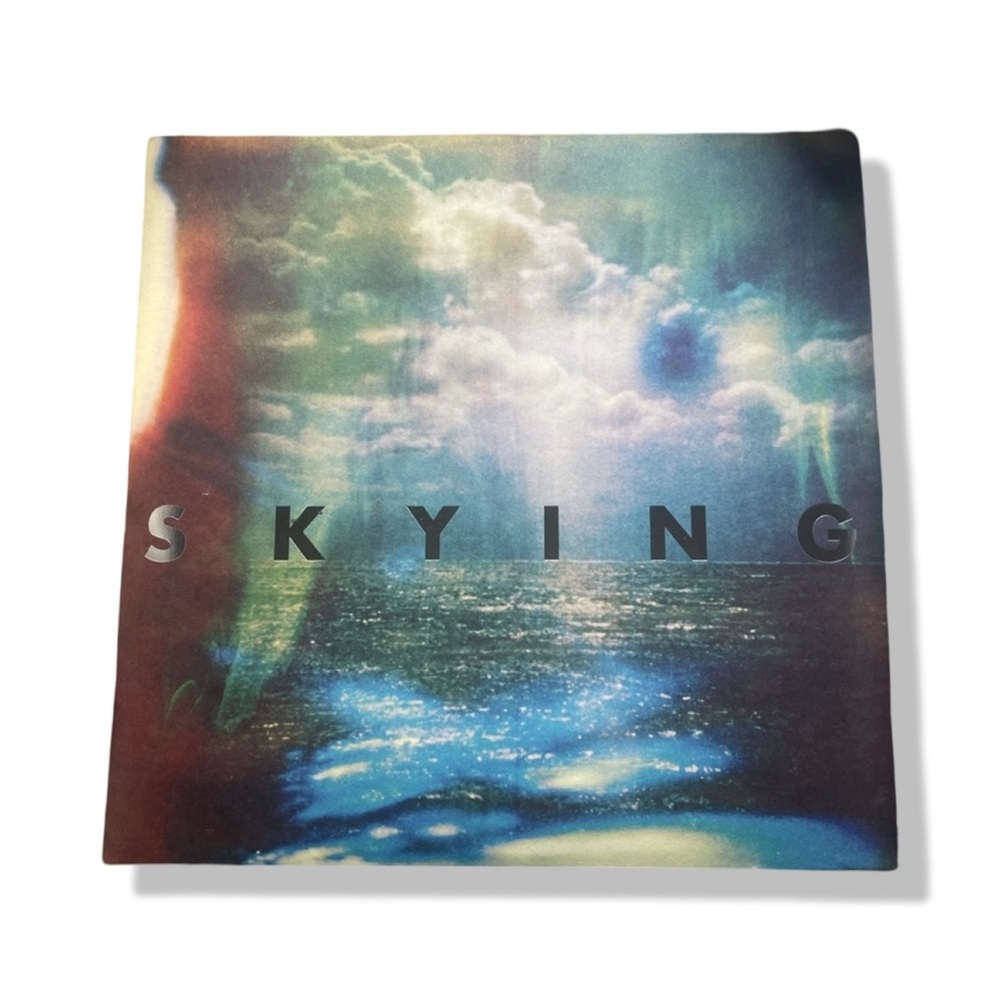 The Horrors Skying Vinyl Record